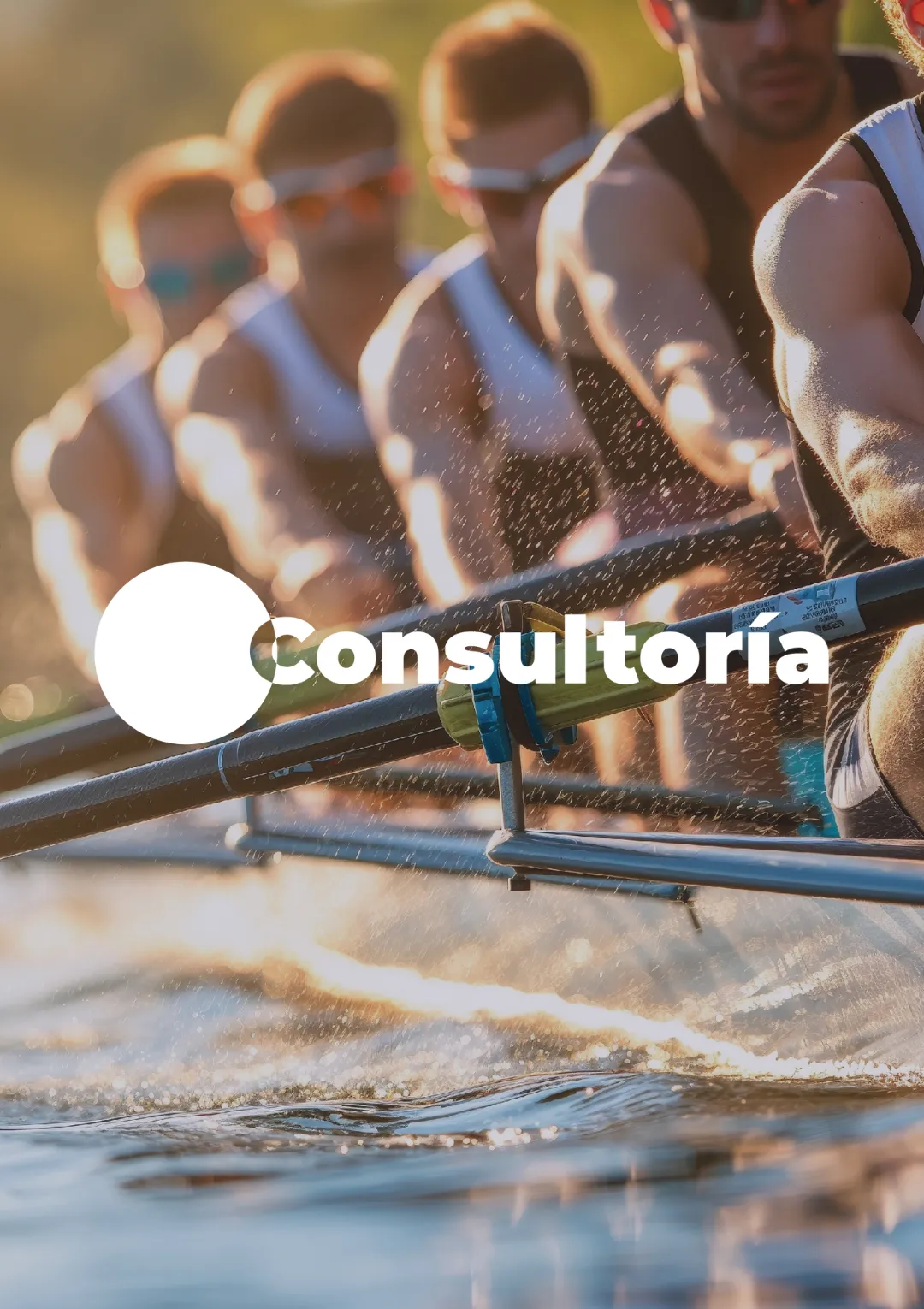 Consultoria Grupo Mill