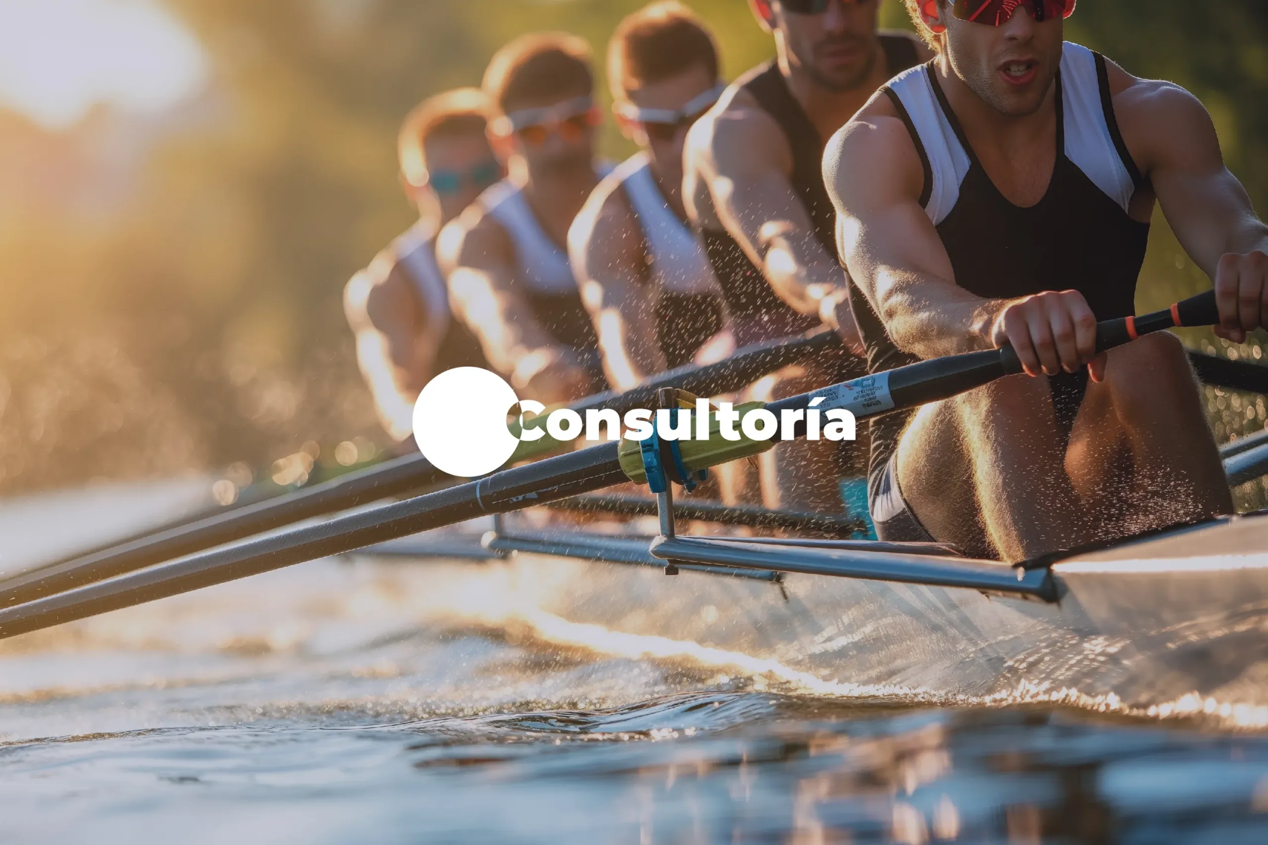 Consultoría Grupo Mill